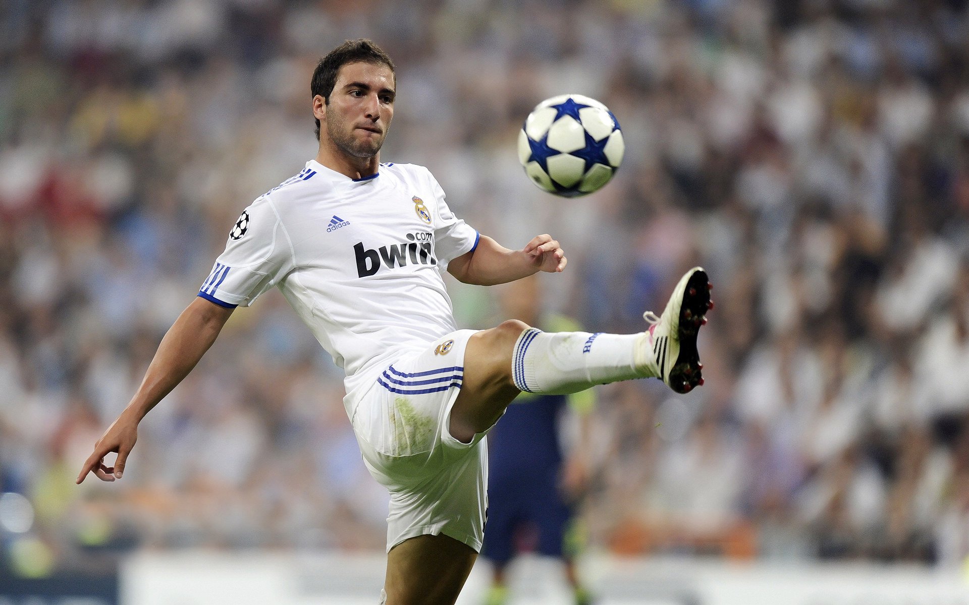 世界俯卧撑马拉松 一小时内做出3000次参赛者刷新极限